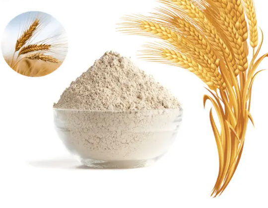 Хидролизиран пшеничен протеин на прах.png